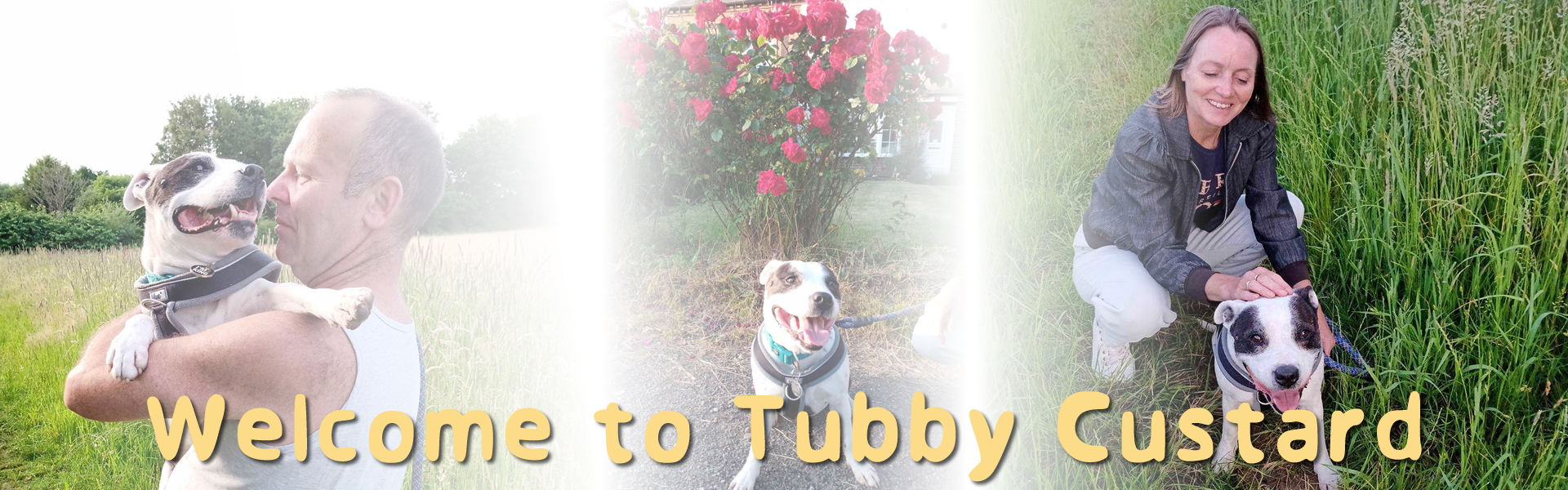 Tubby custard slide1